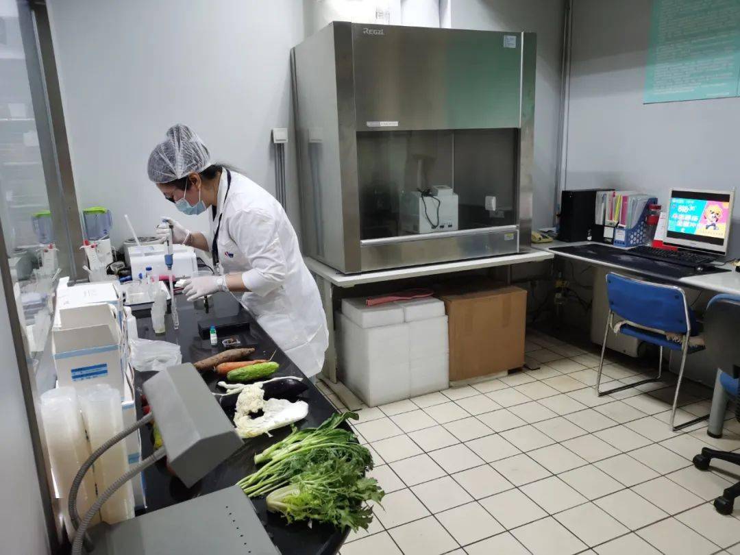 西秀食品检测实验室装修方案